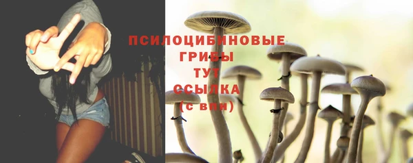 таблы Лиски