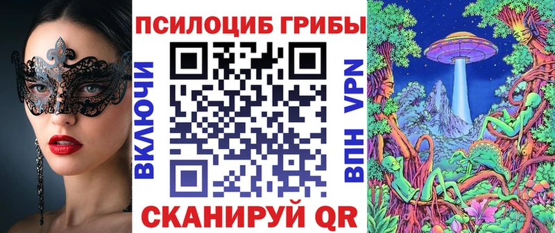 это Telegram  Новосибирск  Галлюциногенные грибы прущие грибы  MEGA ONION 