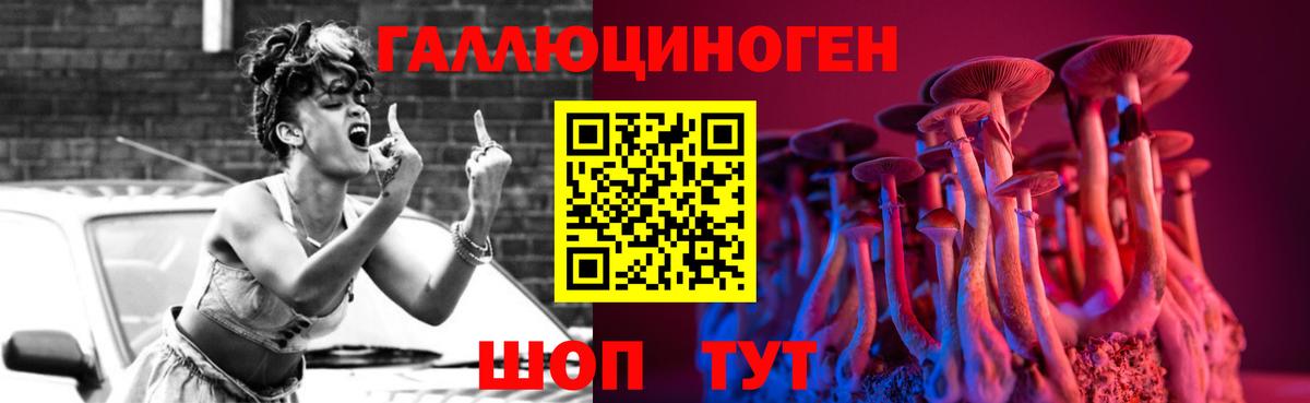 Новосибирск  Псилоцибиновые грибы Psilocybe  Вход с VPN 